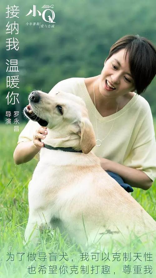 没有学位证影响工作吗